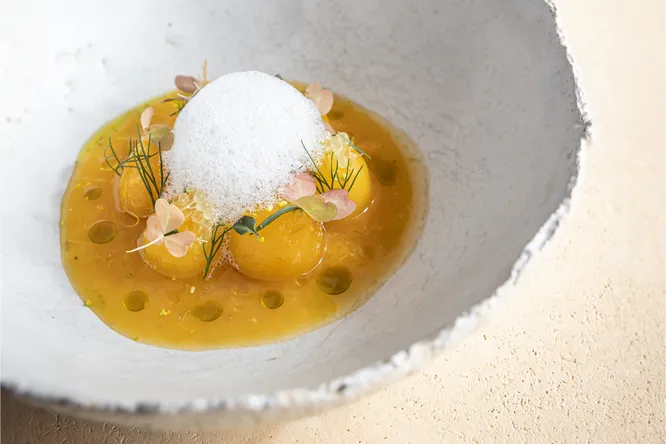 Mirabelles rafraîchies aux herbes, jus d'agrumes, crème glacée vanille et gavotte croustillante