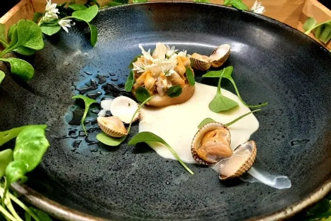 Poire fumée, chou-fleur & coques