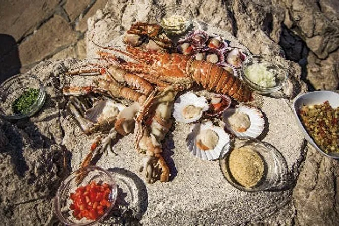 Gault&Millau Croatia 2022: 71 restoran iz splitsko dalmatinske županije uvršteno u novi vodič