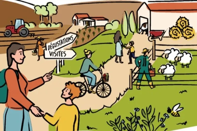 Discover local farms with the Balade du Goût.