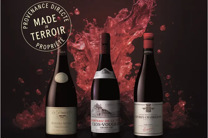 CAVISSIMA, les plus beaux vins, pour tous
