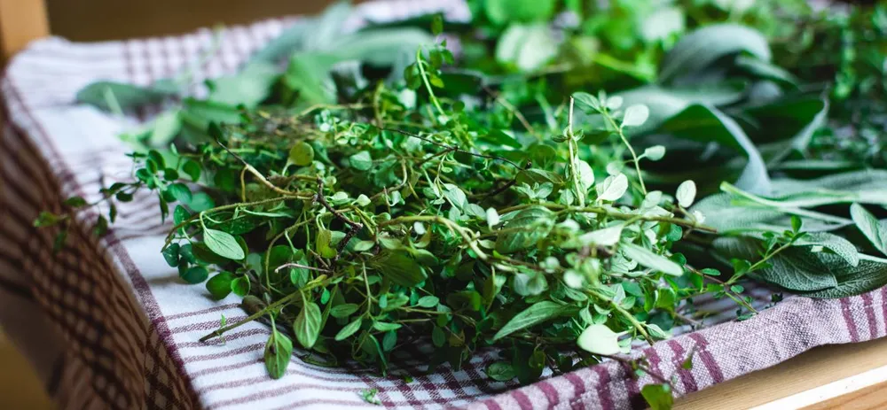 Cultiver son herbe