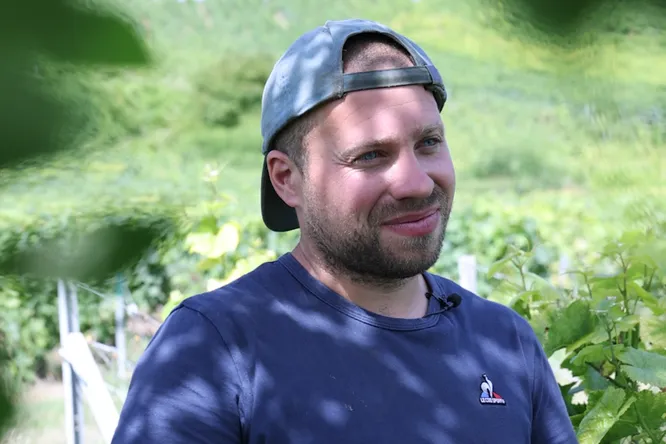Romain Hénin, a new-generation winemaker