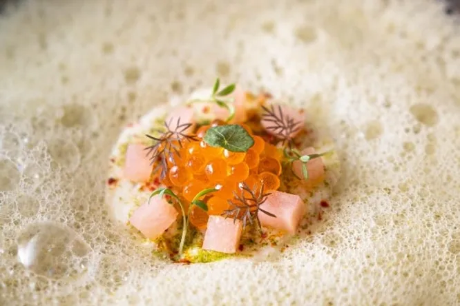 Pike & radish
