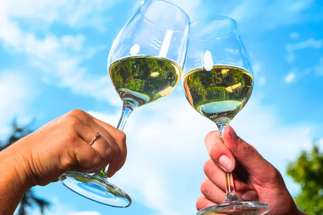 White Médoc: 6 vintages marking the birth of a new appellation