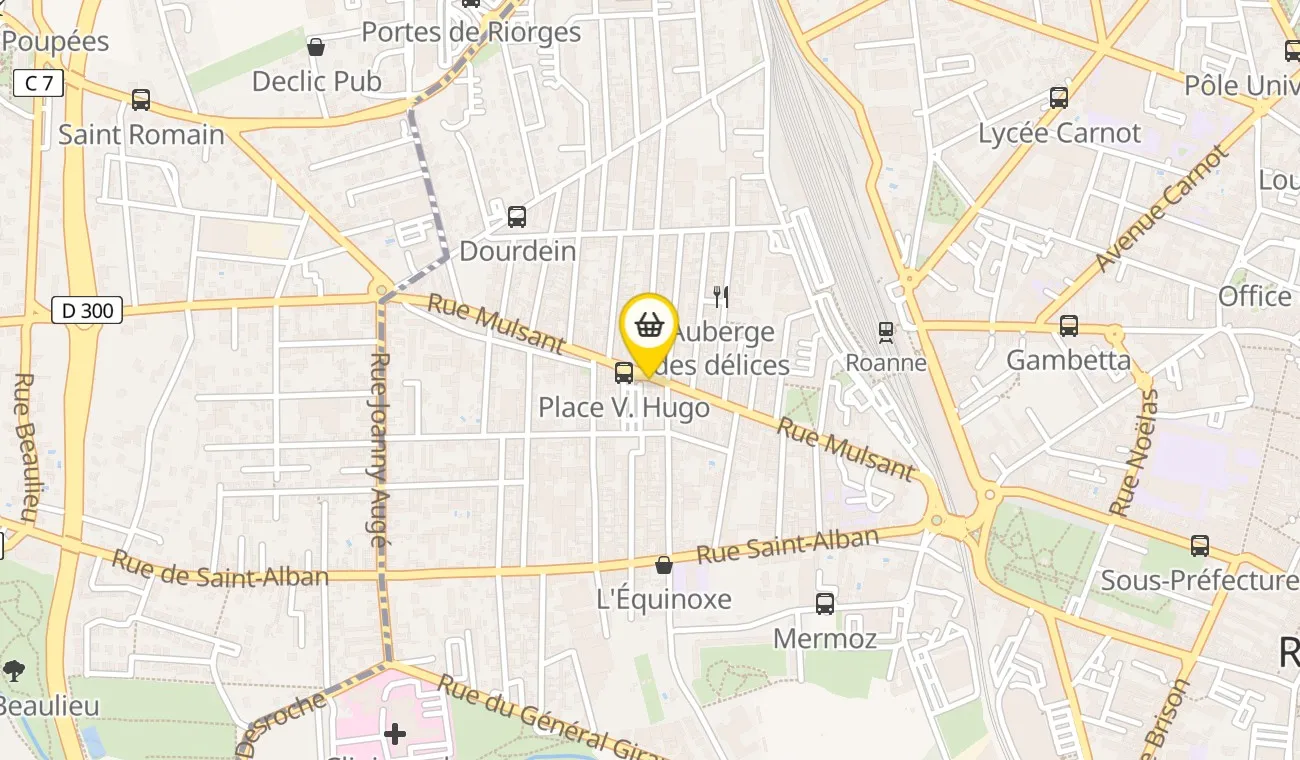 118 Rue Mulsant, 42300 Roanne, France