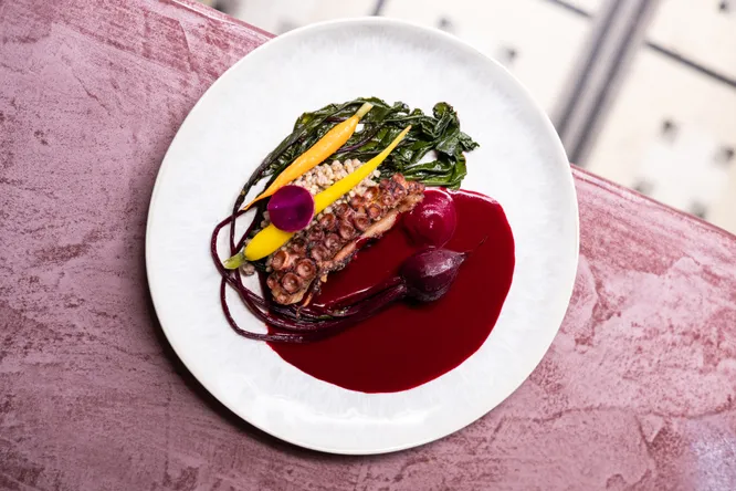 Octopus borscht style