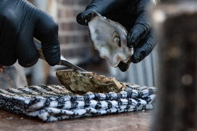 If you dream of finding a pearl in an oyster, here's where to buy your treasure trove