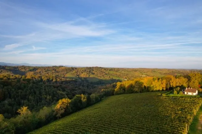 Domaine Castéra, a passion for Jurançon