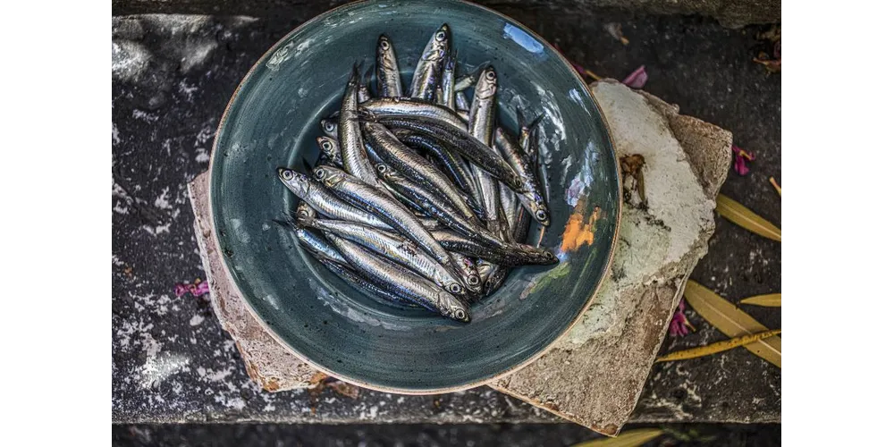 Svi aduti Kvarnera - Europske regije gastronomije 2026