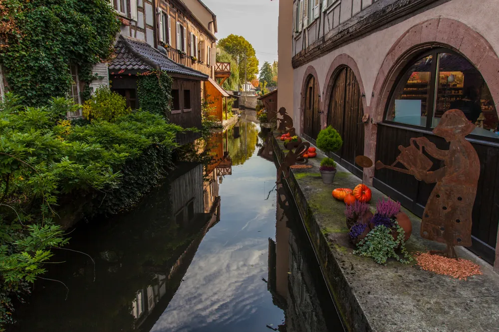48h en Alsace verte,  au nord de Haguenau