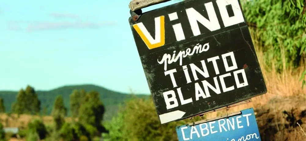 Little-known Chilean wines