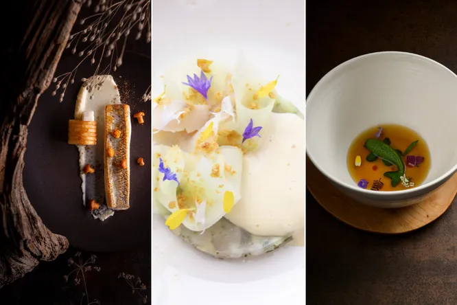 6 restaurants pour découvrir les poissons d’eau douce