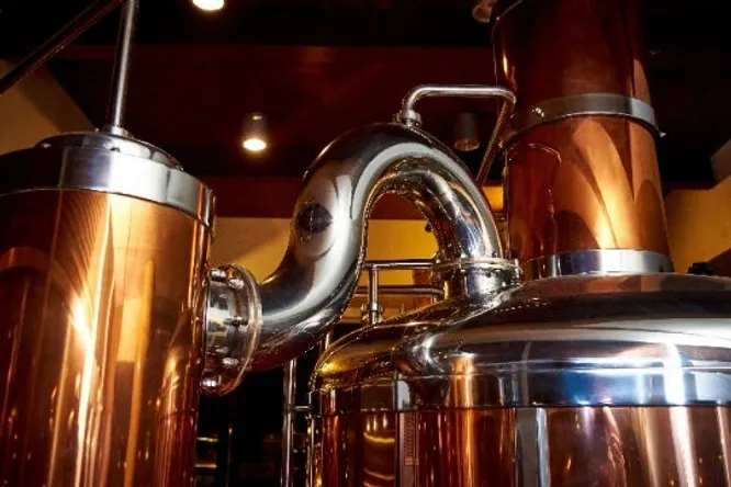 Where can I find a good cider brandy?