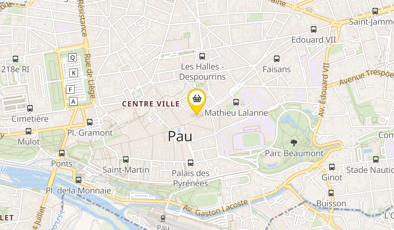 12 Rue Maréchal Foch, 64000 Pau, France