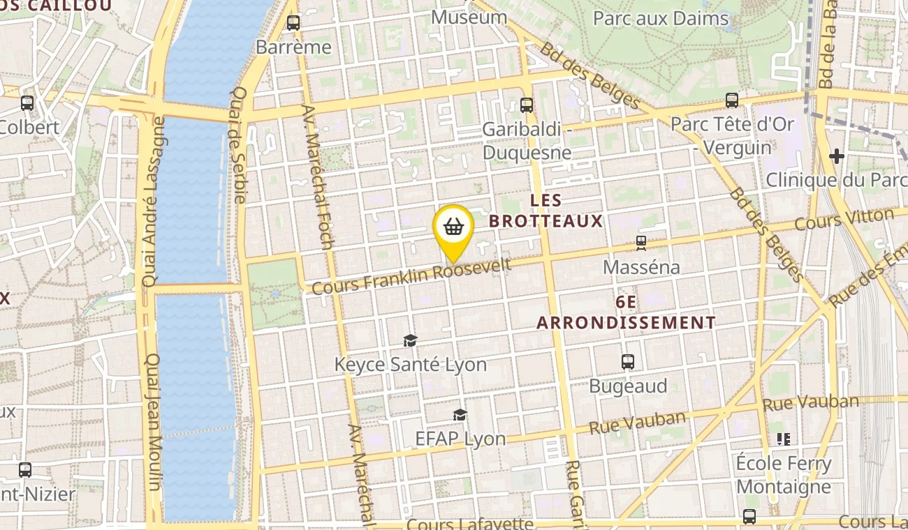 5 Cours Franklin Roosevelt, 69006 Lyon, France