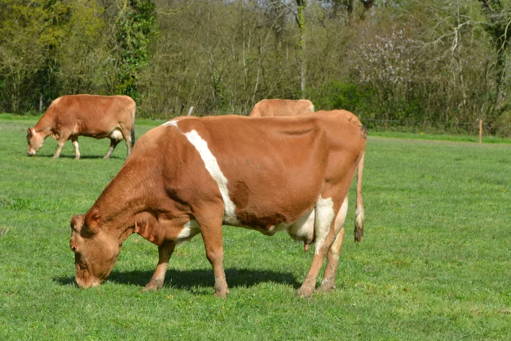 Beurre De Madame @ Mathildebourge (2)