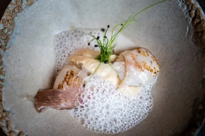 Saint-jacques, mousseline de topinambours fumés, lard de Colonnata, émulsion yuzu