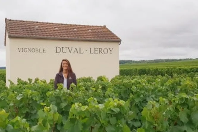 Duval Leroy: transmission, innovation and femininity