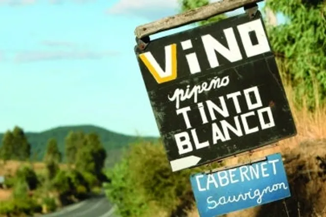Les vins chiliens méconnus