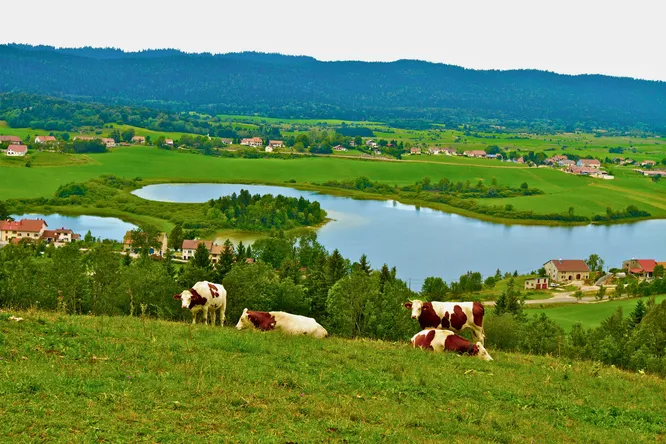 Les meilleurs restaurants entre Doubs et Jura