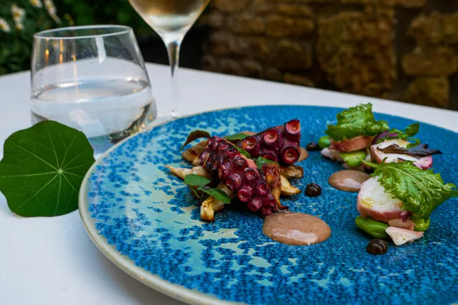 Grilled octopus and oyster mushrooms