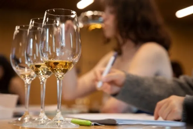 Whether you're a wine and spirits connoisseur or an expert, this introductory course may be of interest to you.