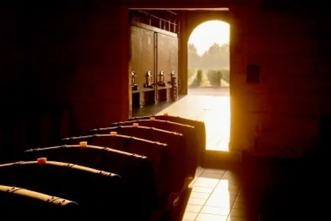 Pauillac and Saint-Estèphe: primeurs 2016