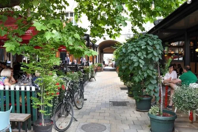 PIVNICA GUSAN