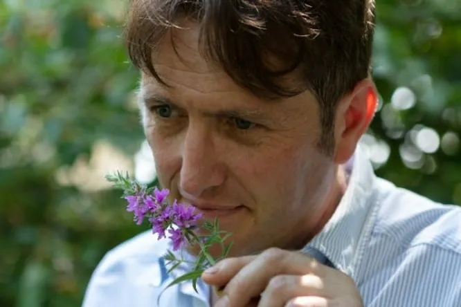 Stéphane FROIDEVAUX