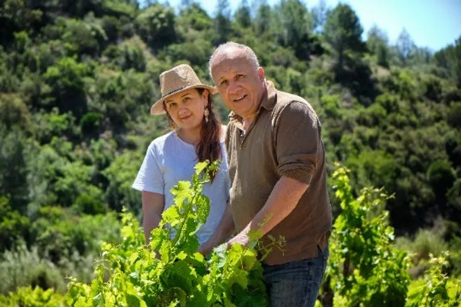 Domaine Le Vieux Solitaire