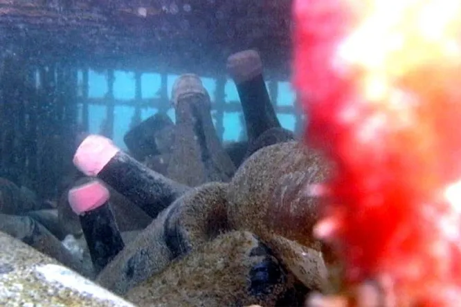 La mer, la nouvelle cave à vin ?