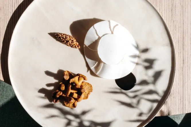 Where to Eat Game This Fall? Our Recommended Restaurants