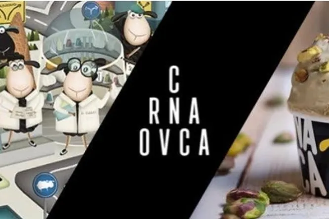 CRNA OVCA