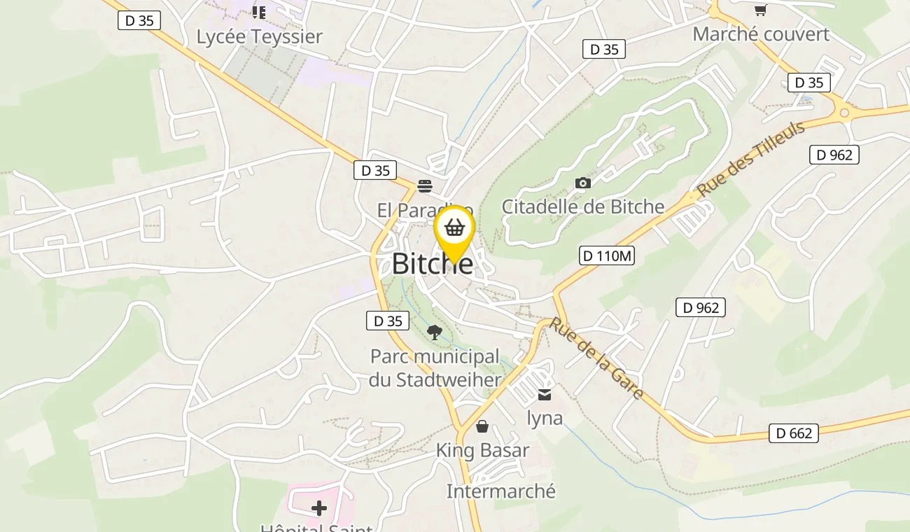 24 Rue du Maréchal Foch, 57230 Bitche, France