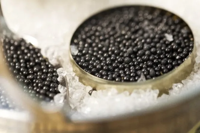 Caviar de fêtes, le banc d’essai Gault&Millau