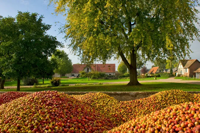 Ice cider, a Norman delicacy to discover