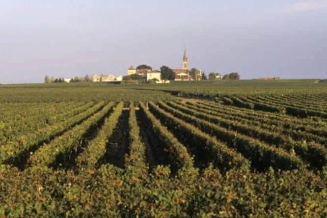 Pomerol : primeurs 2016