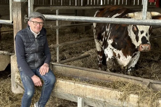 Bœuf cidré : quand le cidre devient l'ingrédient secret d'une viande d'exception