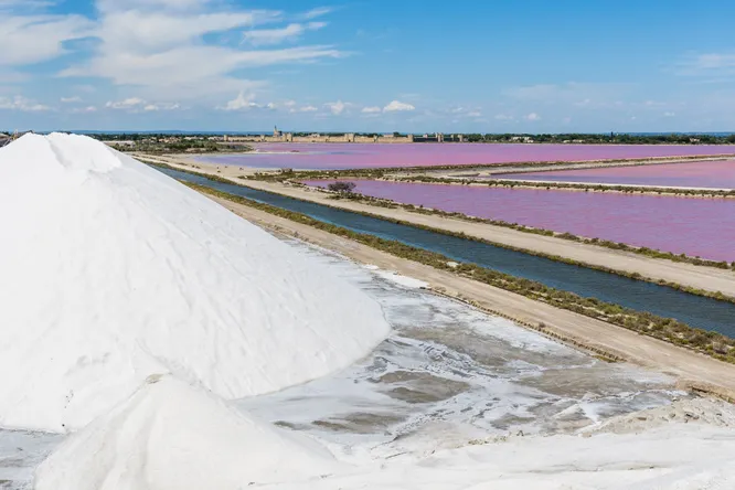 Pour une pincée de sel
