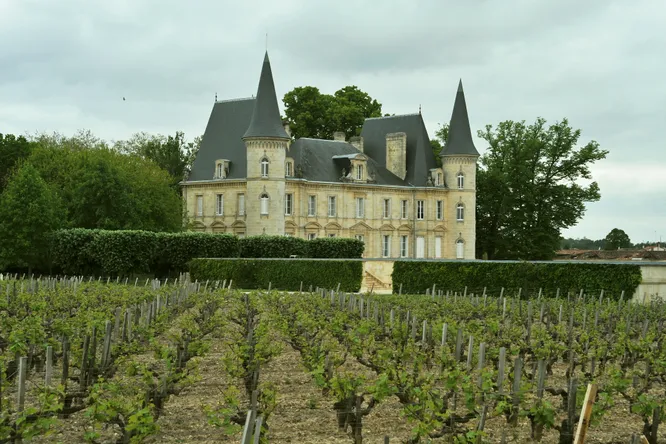 Wine tourism: where to stay along the Loire River