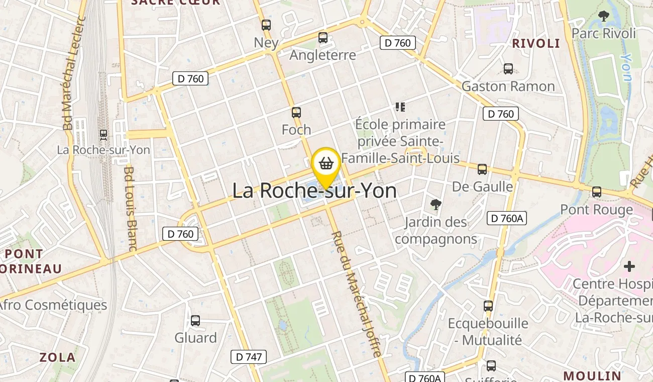 85000 La Roche-sur-Yon, France