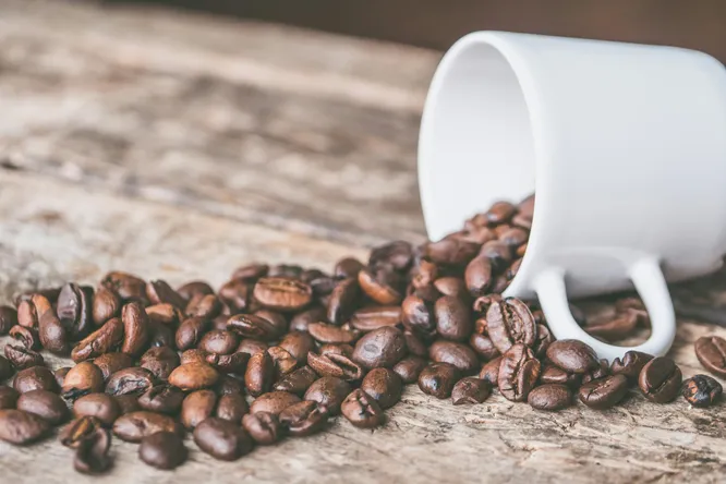Paris Coffee Show 2025 : le retour du salon des passionnés de café