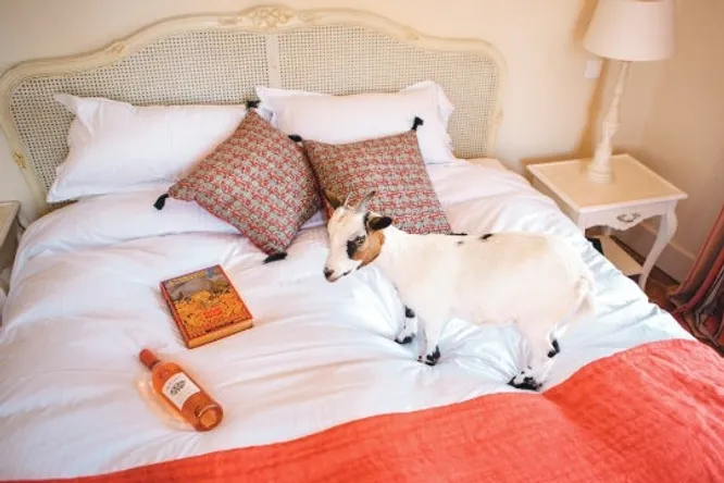 5 hôtels assurément kids friendly
