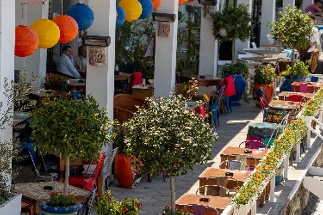 RESTORAN CANTINA DE FRIDA