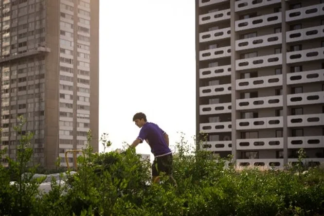 Discovering the Beaugrenelle hilltop farm