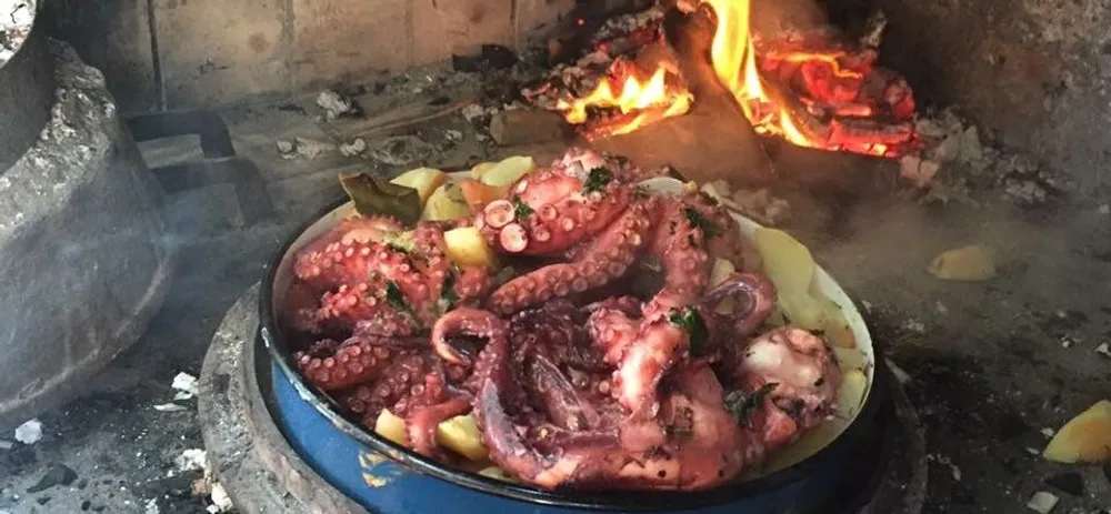 What is Dalmatian Peka?