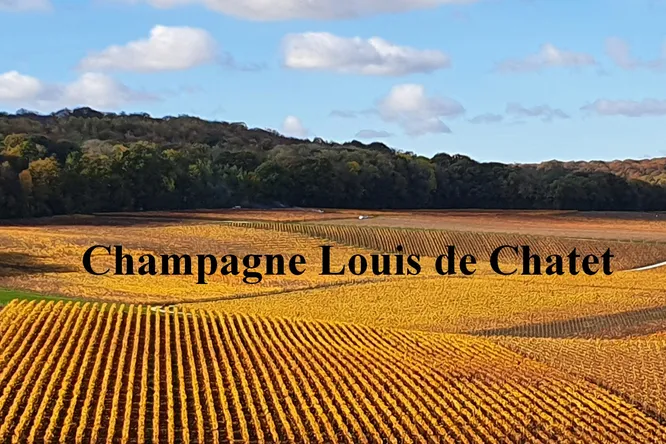 Louis de Chatet