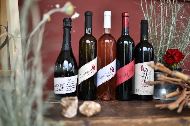 Vinarija Šipun