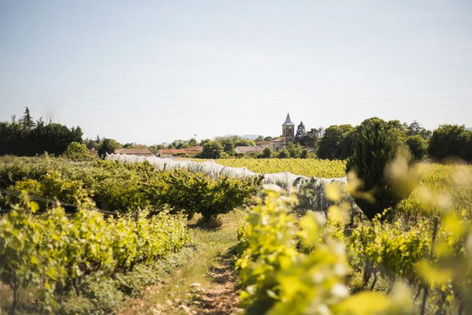 Domaine Breyton